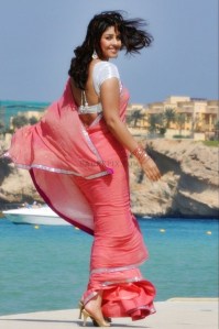Richa-gangopadhyay-in pink saree