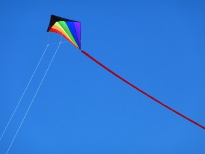 Kite
