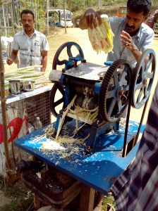 sweet blood extarcted