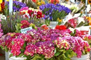 buckets-of-flowers-for-sale-in-a-stall-at-a-farmer-s-market-in-summer
