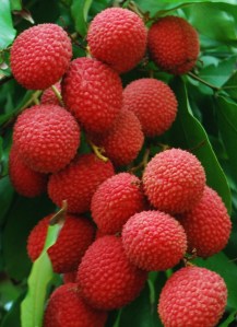 Lychee_Litchi_Chinensis_sweet_tasty_fruit