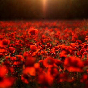 new-ipad-wallpaper-hd-2048x2048-326