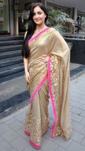 elli-avram-in-mandira-bedi-sari
