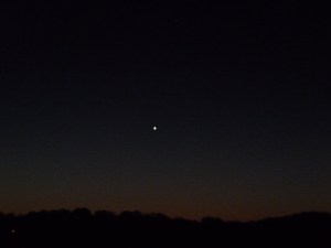 only star before dawn