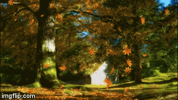 Autumn leaves falling