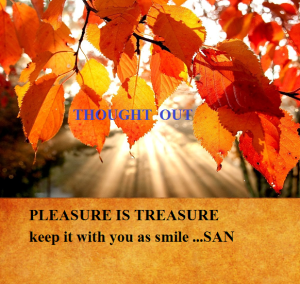 pleasure