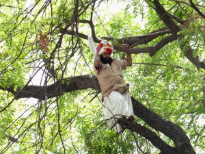 farmer-singh