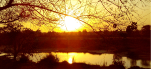 old river - Bihar - India