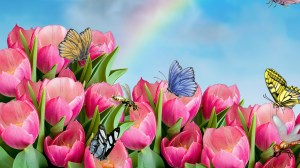 Butterflies-And-Bees-Flowers-Pink-Wallpaper