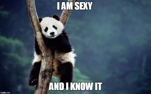 cute panda - sleeping