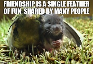friendship quote - funny animal friends