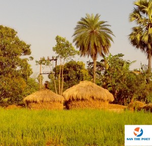 STUPA OF STRAW -BIHAR - PADDY