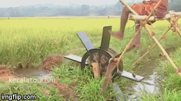 Kerala Water wheel