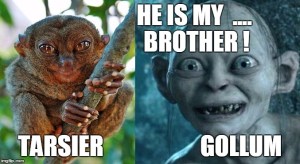 Tarsier animal - Gollum - animal look like Gollum