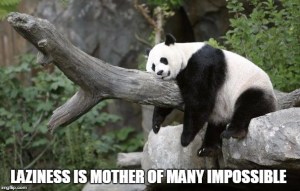 Lazy - Panda