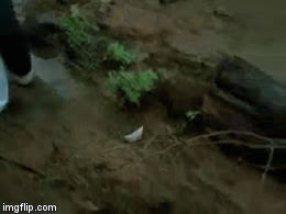 Malgudi days sawami paper boat