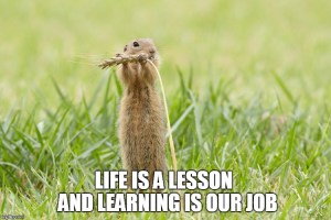 european ground squirrel - quote about life