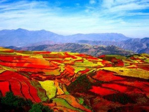 Dongchuan District - red Land - Best place in China