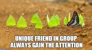 Butterfly - yellow butterfly-butterfly kissing ground