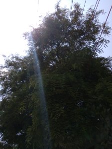 Dust in light-smoke dust-bangalore