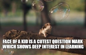 animal kid-quote