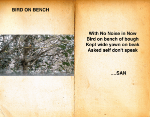 bird-on-branch